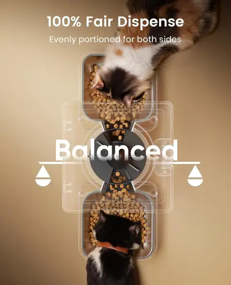 oneisall Automatic Cat Feeder for… — Photo 3