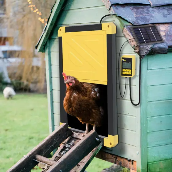 Aivituvin Solar-Powered Automatic Chicken Coop… — Photo 2