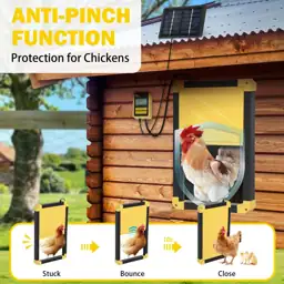Aivituvin Solar-Powered Automatic Chicken Coop… — Photo 3