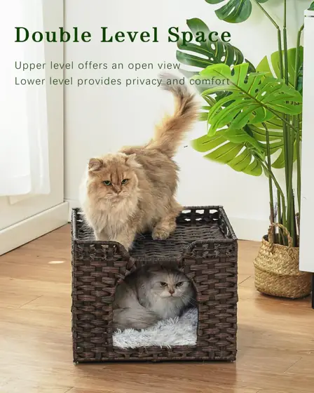 SETVSON Cat Beds Indoor Kitten… — Photo 2