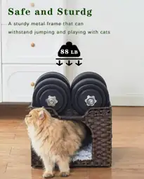 SETVSON Cat Beds Indoor Kitten… — Photo 3