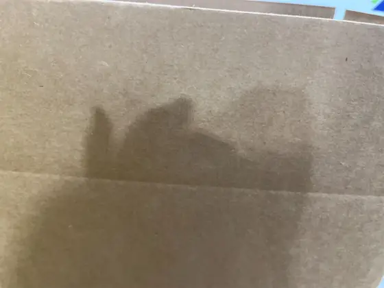 Walmart lot box — Photo 2
