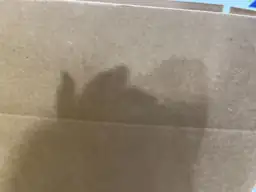 Walmart lot box — Photo 2