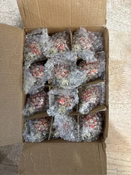 12 Pcs Christmas Pinecone Glass… — Photo 4