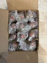 12 Pcs Christmas Pinecone Glass… — Photo 4