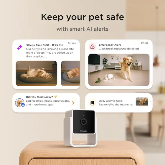Petcube Cam Indoor Wi-Fi Pet… — Photo 2