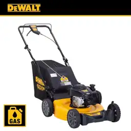 DEWALT 21 in. 150cc Briggs… — Photo 1