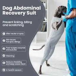 Nanaki Dog Wound Care Shirt,Dog… — Photo 2