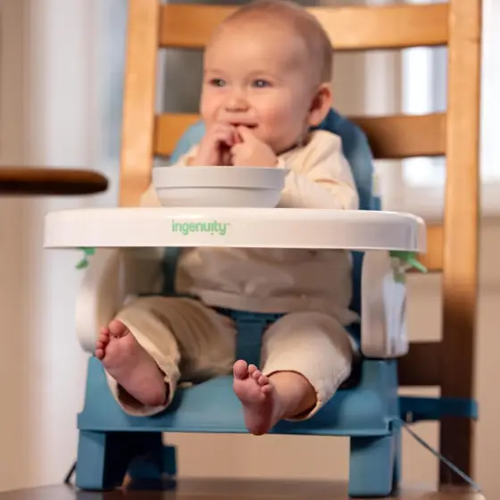 Ingenuity Deluxe Comfort Booster Seat… — Photo 2