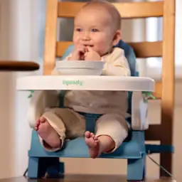 Ingenuity Deluxe Comfort Booster Seat… — Photo 2