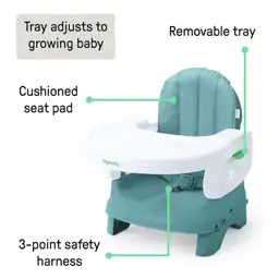 Ingenuity Deluxe Comfort Booster Seat… — Photo 4