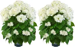 Artificial Hydrangea Tree 29" Tall… — Photo 1