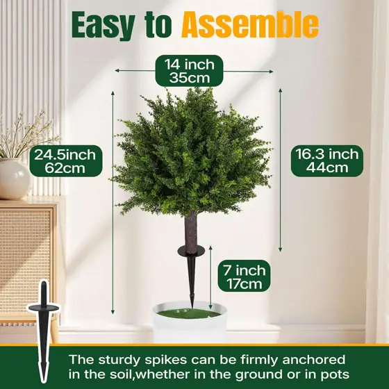 24.5-Inch Topiary Cedar Trees, 2-Pack,… — Photo 2
