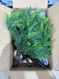 24.5-Inch Topiary Cedar Trees, 2-Pack,… — Photo 5