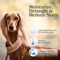 PAWFUME Dog Perfume Spray Long… — Photo 2