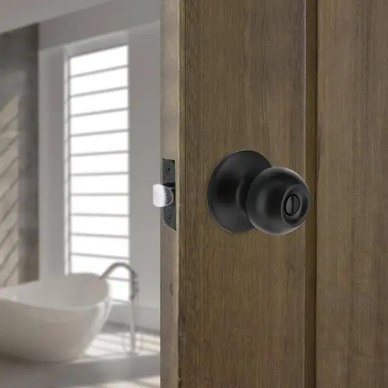 Saturn Matte Black Bed/Bath Door… — Photo 3