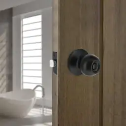 Saturn Matte Black Bed/Bath Door… — Photo 3