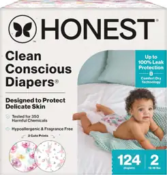 The Honest Company Daytime Diapers,… — Photo 1