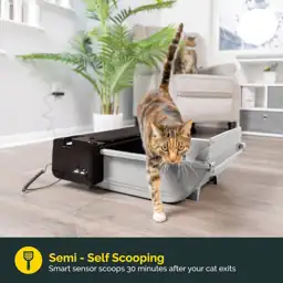 Pet Zone Smart Scoop Semi… — Photo 2
