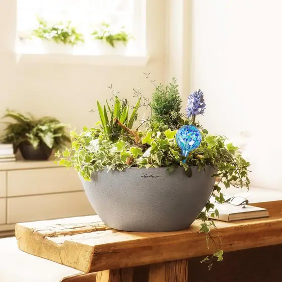 Plant Watering Globes Set of… — Photo 2
