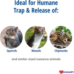 Havahart 1-Door Live Animal Trap,… — Photo 2