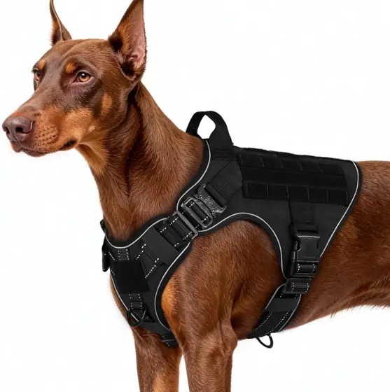 rabbitgoo Tactical Dog Harness for… — Photo 1