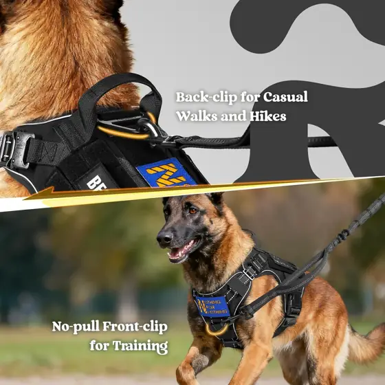 rabbitgoo Tactical Dog Harness for… — Photo 2