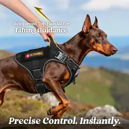 rabbitgoo Tactical Dog Harness for… — Photo 3