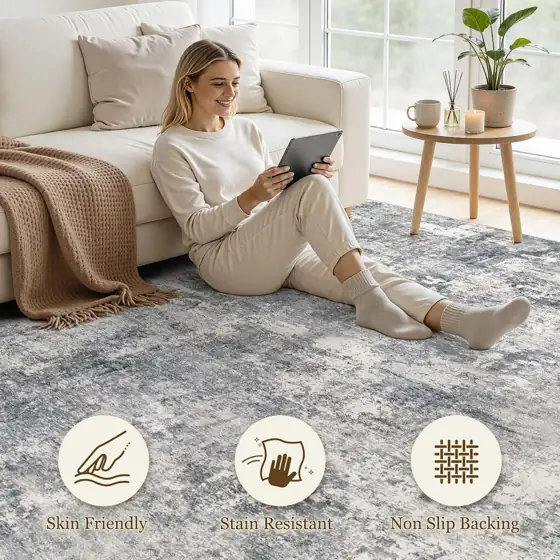 9X12 Area Rug Living Room:… — Photo 3