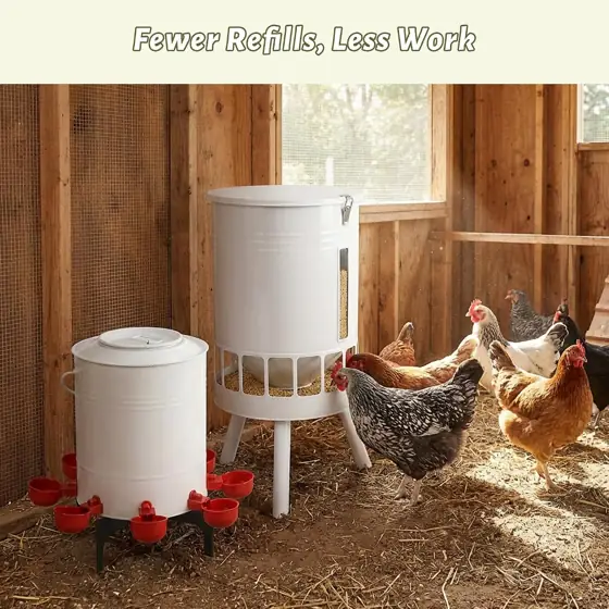 KOL 50LB Chicken Feeder &… — Photo 2