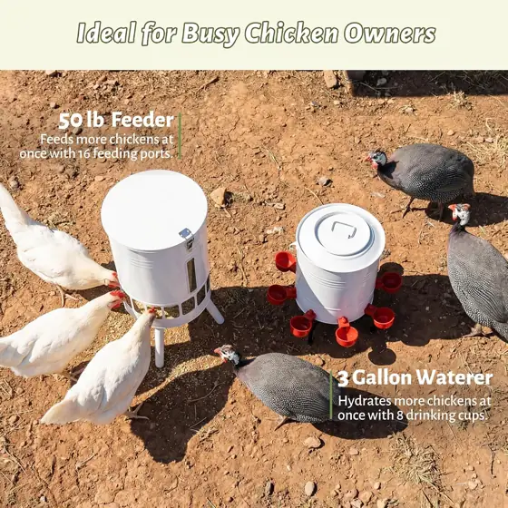 KOL 50LB Chicken Feeder &… — Photo 3