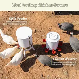 KOL 50LB Chicken Feeder &… — Photo 3