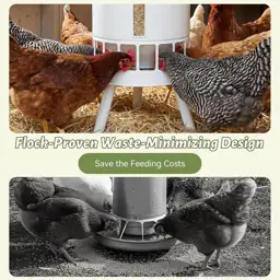 KOL 50LB Chicken Feeder &… — Photo 4