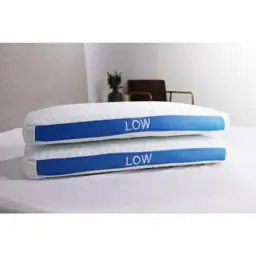 Cool Ice Low Firm Queen… — Photo 1