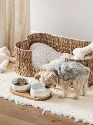 LE TAUCI PET Ceramic Dog… — Photo 3