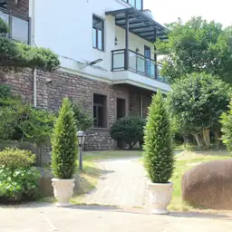 4ft Artificial Cedar Trees Set… — Photo 2