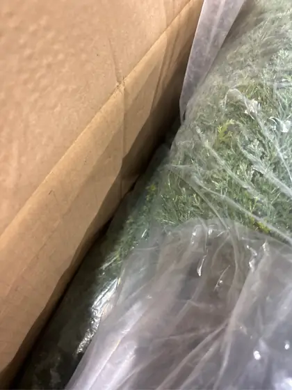 4ft Artificial Cedar Trees Set… — Photo 5