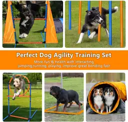 Dog Agility Training Equipment 80Pcs Dog Obstacle Course Backyard for ...