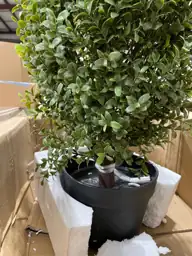 30" Tall Artificial Boxwood Topiary,… — Photo 6