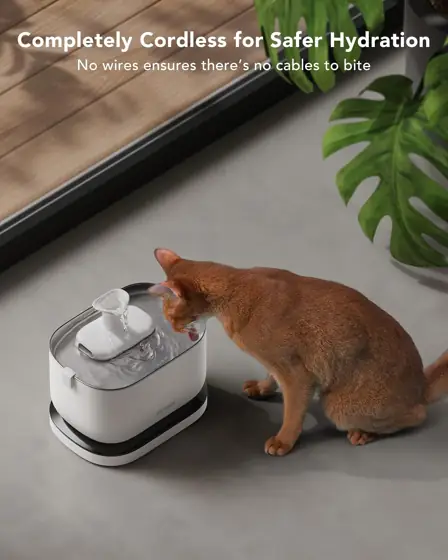PETLIBRO Cordless Cat Water Fountain,… — Photo 3