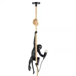 1-Light Black Vintage Resin Hemp… — Photo 1