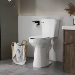 Tall 21in Raised Toilet for… — Photo 1