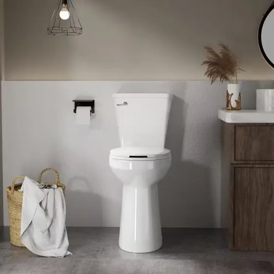 Tall 21in Raised Toilet for… — Photo 2