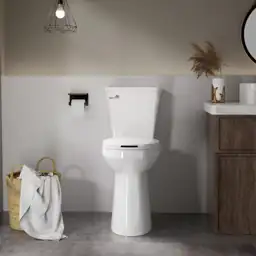 Tall 21in Raised Toilet for… — Photo 2