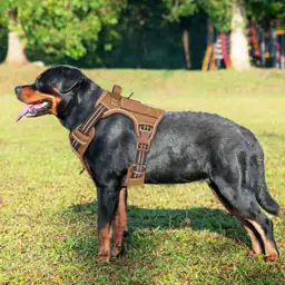 Beebiepet Tactical No Pull Dog… — Photo 2