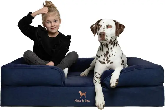 NOAH & PAW XL Dog… — Photo 1