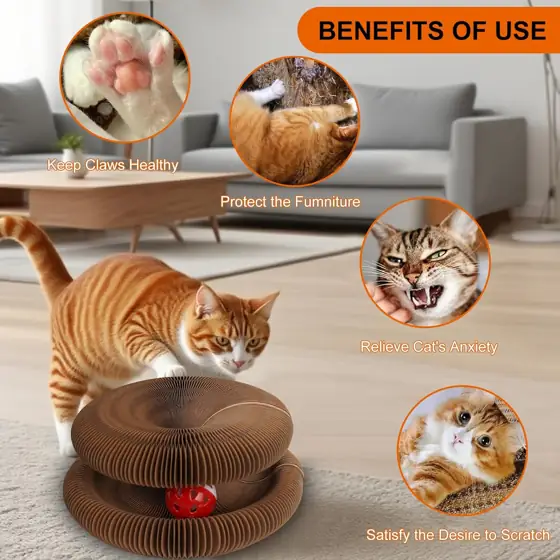 2Pcs Kitty Kurlz Cat Toy… — Photo 2