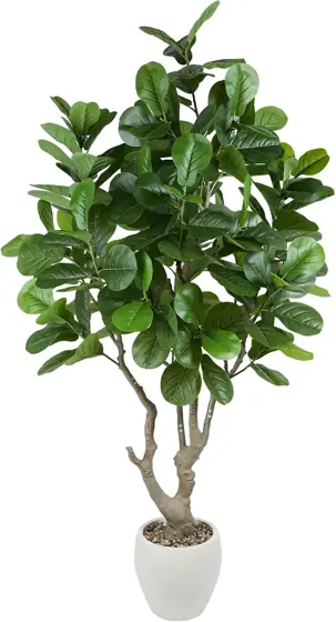7.6-Feet Fiddle Leaf Fig Artificial… — Photo 1