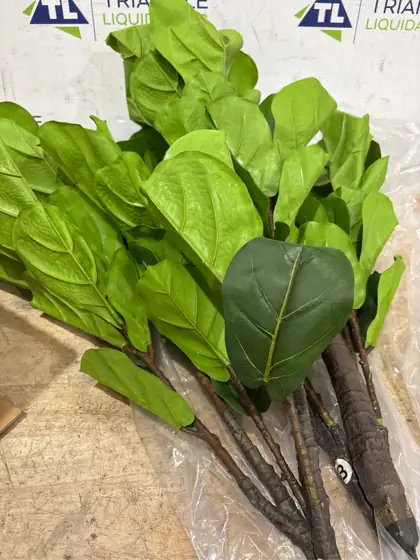 7.6-Feet Fiddle Leaf Fig Artificial… — Photo 6