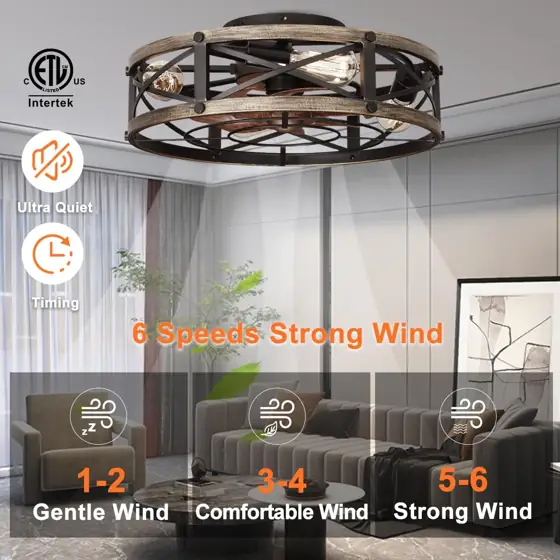 SHLUCE Caged Ceiling Fan with… — Photo 2